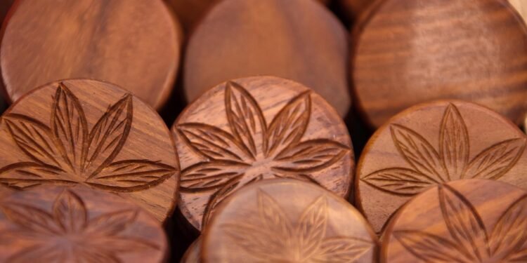 Holz, Lehm & Hanf: Renaissance natürlicher Baustoffe im modernen Wohnbau